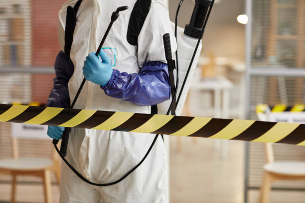 Professional Sewage Cleanup technician working in Mount Judea, AR